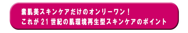 素肌美スキンケアのオンリーワン